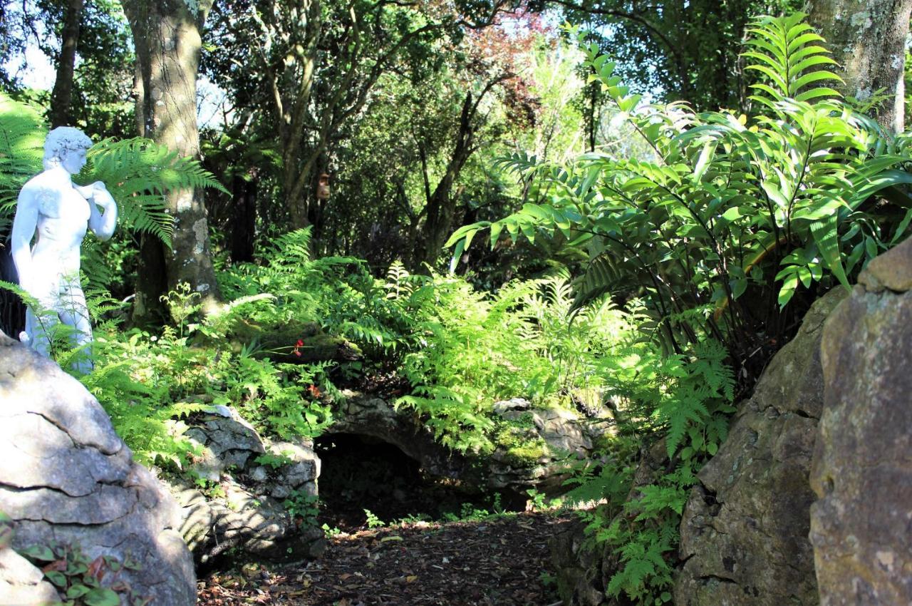 Labyrinth Gardens Guest House Takaka Dış mekan fotoğraf