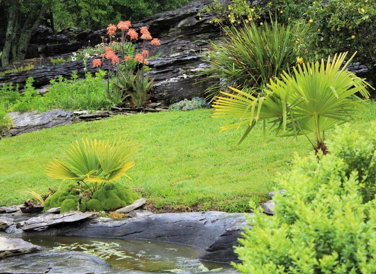 Labyrinth Gardens Guest House Takaka Dış mekan fotoğraf
